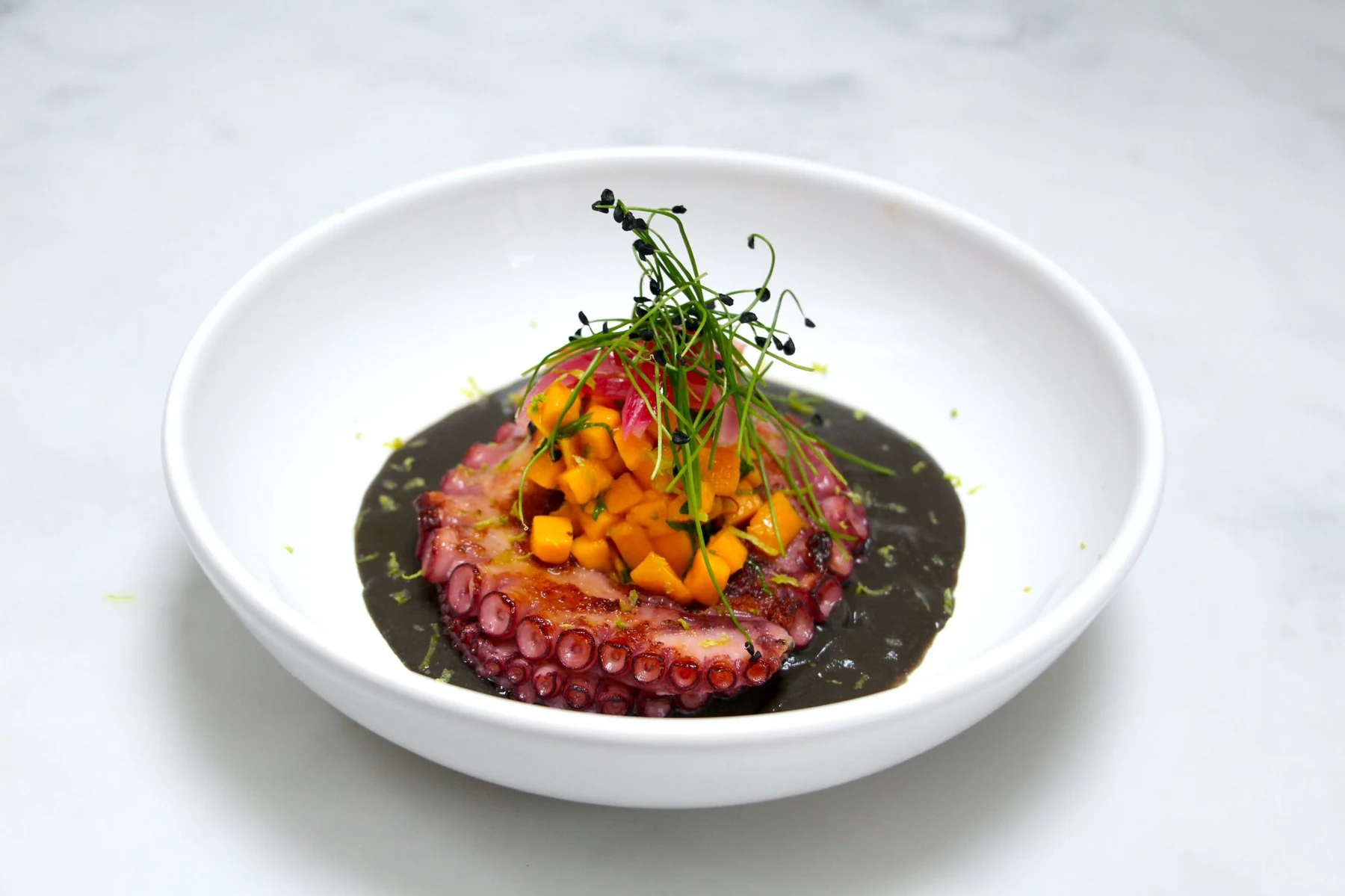 Grilled octopus with squid ink and mango — God Save The Chef
